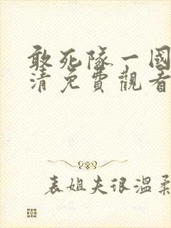 敢死队一国语高清免费观看封面