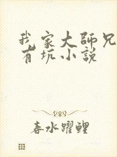 我家大师兄脑子有坑小说