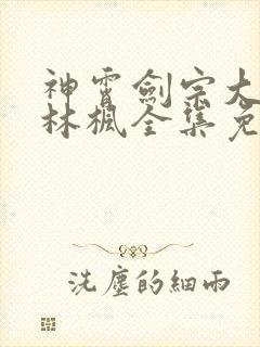 神霄剑宗大师兄林枫全集免费