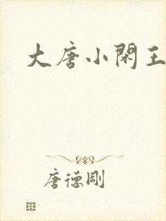 大唐小闲王小说