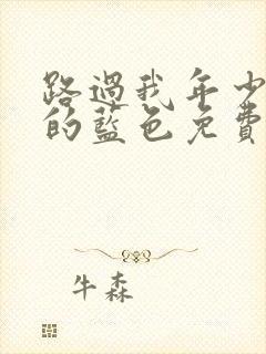 路过我年少时光的蓝色免费观看