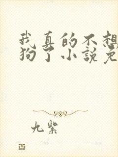 我真的不想当舔狗了小说免费阅读无弹窗封面