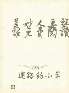 美妙人妻系列小说免费阅读