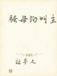 骚母狗叫主人