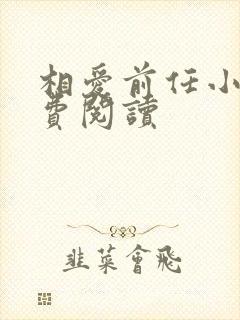 相爱前任小说免费阅读