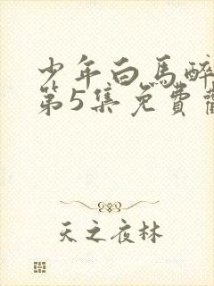 少年白马醉春风第5集免费观看