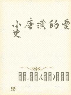 小唐璜的爱情历史