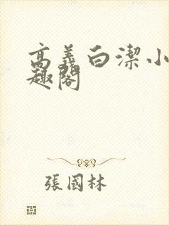 高义白洁小说笔趣阁