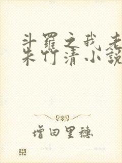 斗罗之我老婆是朱竹清小说