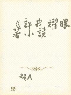 《许我耀眼》原著小说