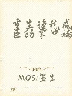 重生后我成了权臣的掌中娇全集