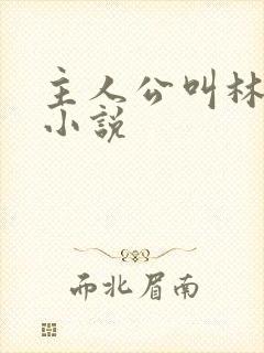 主人公叫林晚的小说