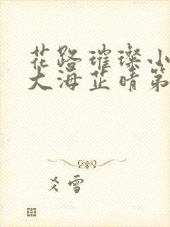 花路璀璨小说王大海芷晴第八章