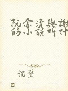 阮念清与谢存旭的小说叫什么