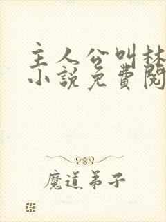 主人公叫林辰的小说免费阅读