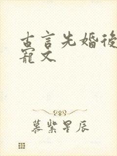 古言先婚后爱甜宠文