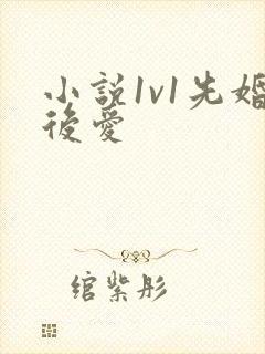 小说1v1先婚后爱