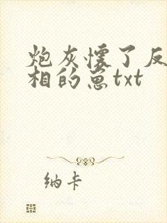 炮灰怀了反派丞相的崽txt封面