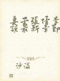 妻子张倩李源小说最新章节更新时间封面