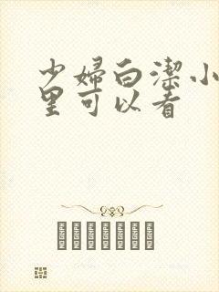 少妇白洁小说哪里可以看