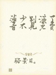 薄少别演了夫人看不见免费观看全集封面