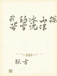 我的冰山总裁苏若雪沈浪