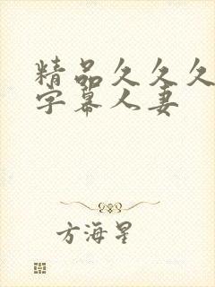 精品久久久中文字幕人妻封面