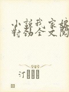 小说我家娘子不对劲全文阅读免费封面