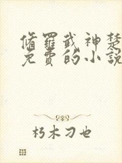 修罗武神楚枫全免费的小说