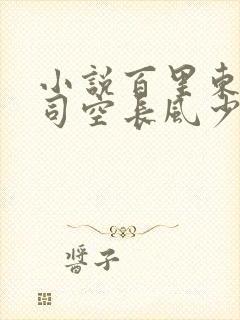 小说百里东君 司空长风少年春风醉白马