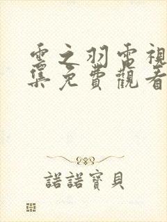 云之羽电视剧全集免费观看在线播放