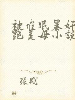 被催眠暴奸的冷艳美母小说封面