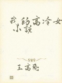 我的高冷女总裁 小说封面