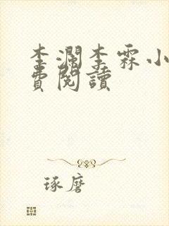 李澜李霖小说免费阅读