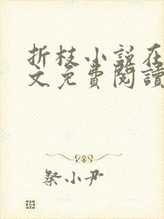 折枝小说在线全文免费阅读无弹窗封面