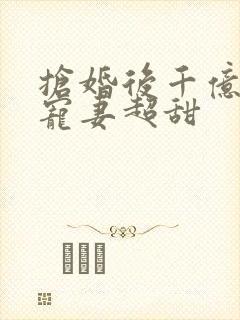 抢婚后千亿总裁宠妻超甜