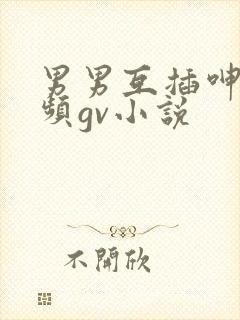 男男互插呻吟视频gv小说