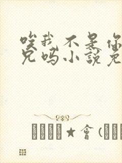 唉我不是你们养兄吗小说免费阅读