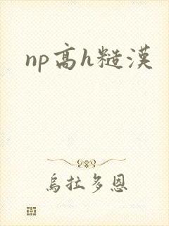 np高h糙汉
