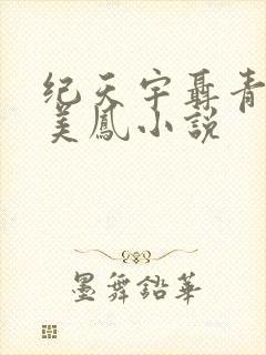纪天宇聂青岚苏美凤小说