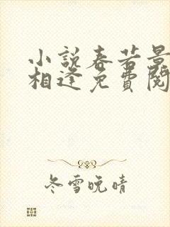 小说春若景明不相逢免费阅读