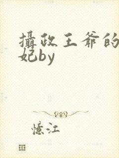 摄政王爷的小男妃by