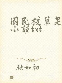 国民校草是女生小说txt