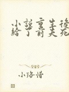 小说重生后我嫁给了前夫死对头