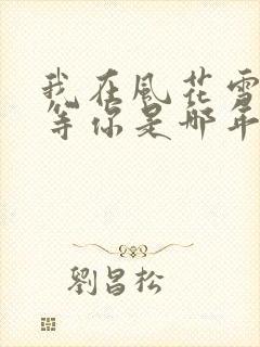 我在风花雪月里等你是哪年的小说