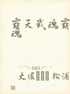 霸天武魂霸天武魂