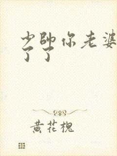 少帅你老婆又跑了了封面