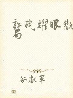 许我耀眼欢欢结局