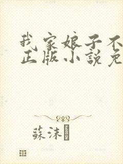我家娘子不对劲正版小说免费阅读