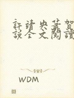 许靖央萧贺夜小说全文阅读最新章节